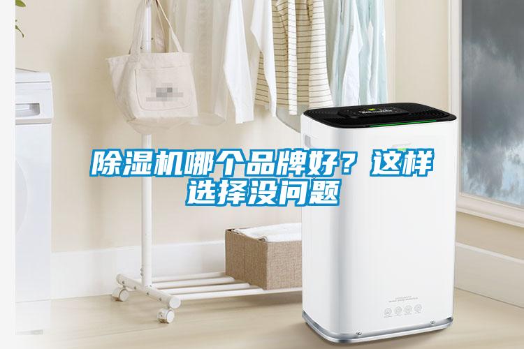 除濕機(jī)哪個(gè)品牌好？這樣選擇沒(méi)問(wèn)題