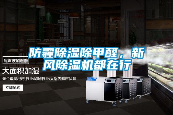 防霾除濕除甲醛，新風(fēng)除濕機(jī)都在行