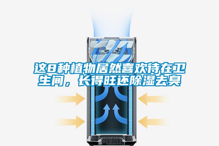 這8種植物居然喜歡待在衛(wèi)生間，長(zhǎng)得旺還除濕去臭
