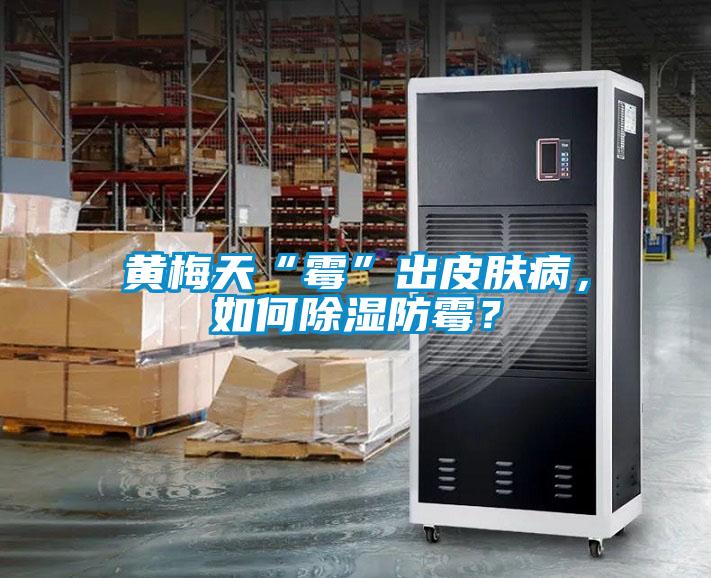 黃梅天“霉”出皮膚病，如何除濕防霉？