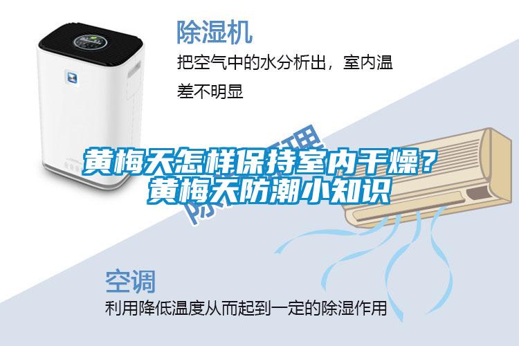 黃梅天怎樣保持室內(nèi)干燥？ 黃梅天防潮小知識(shí)