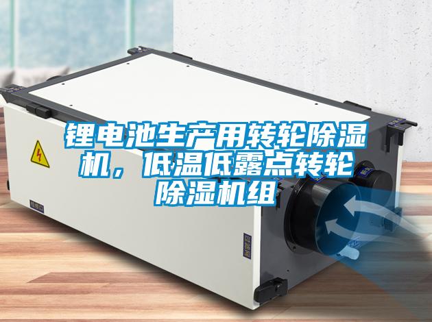 鋰電池生產(chǎn)用轉(zhuǎn)輪除濕機，低溫低露點轉(zhuǎn)輪除濕機組