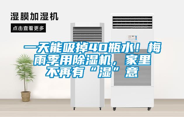 一天能吸掉40瓶水！梅雨季用除濕機，家里不再有“濕”意