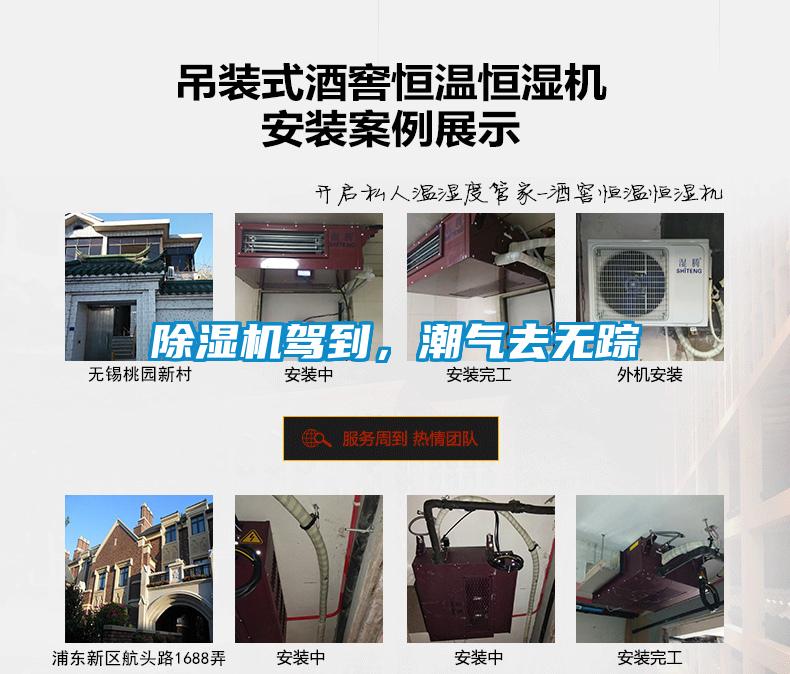 除濕機駕到，潮氣去無蹤