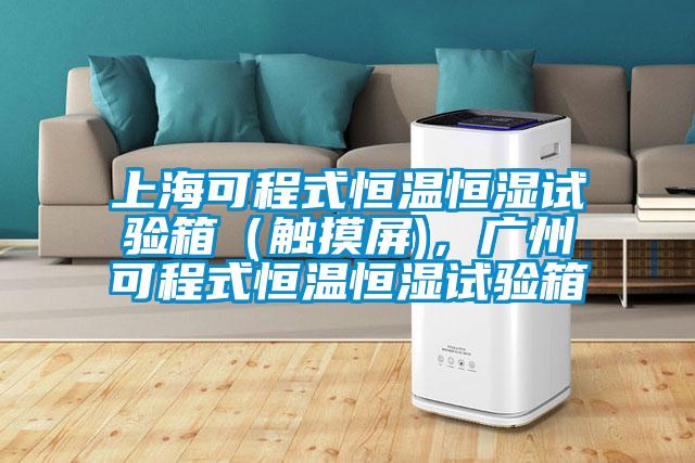 上?？沙淌胶銣睾銤裨囼?yàn)箱（觸摸屏)，廣州可程式恒溫恒濕試驗(yàn)箱