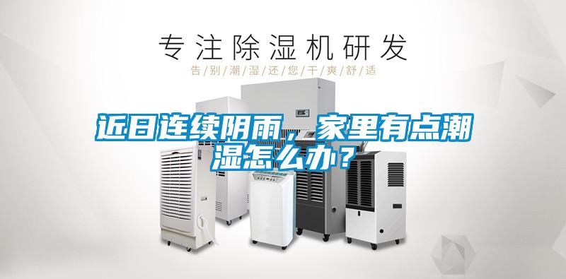 近日連續(xù)陰雨，家里有點(diǎn)潮濕怎么辦？