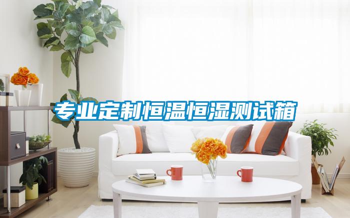 專業(yè)定制恒溫恒濕測(cè)試箱