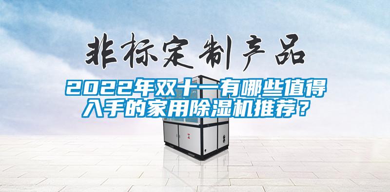 2022年雙十一有哪些值得入手的家用除濕機(jī)推薦？