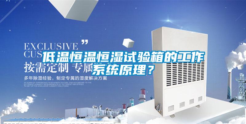 低溫恒溫恒濕試驗(yàn)箱的工作系統(tǒng)原理？