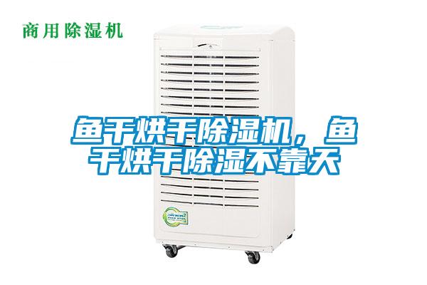 魚干烘干除濕機(jī)，魚干烘干除濕不靠天