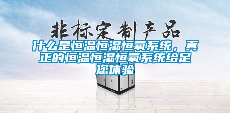 什么是恒溫恒濕恒氧系統(tǒng)，真正的恒溫恒濕恒氧系統(tǒng)給足您體驗(yàn)