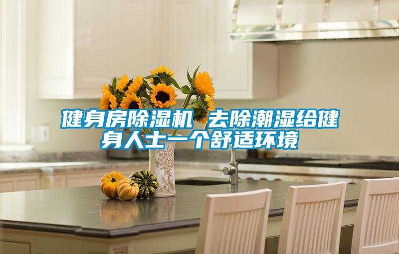 健身房除濕機(jī) 去除潮濕給健身人士一個(gè)舒適環(huán)境