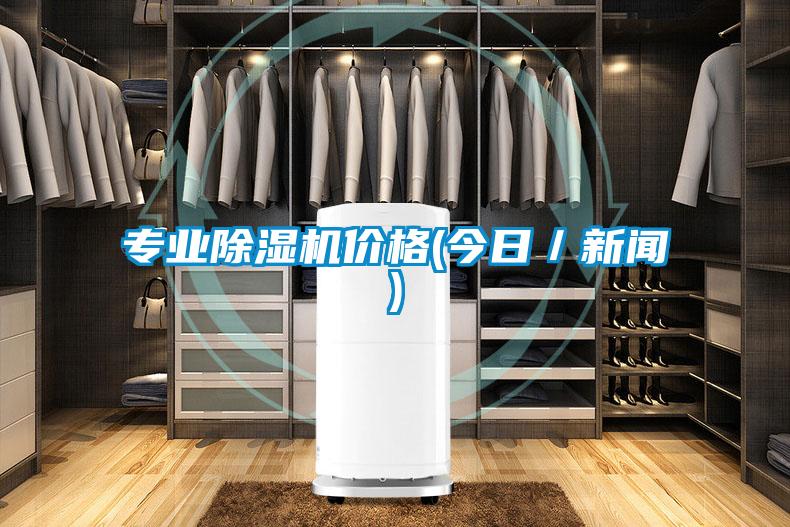 專業(yè)除濕機(jī)價格(今日／新聞)