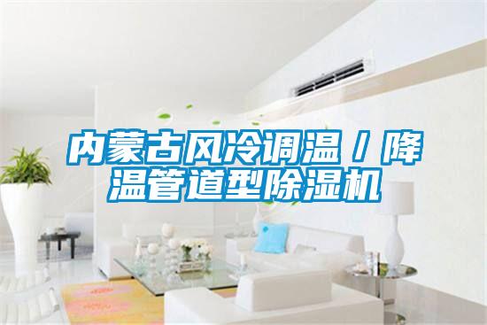 內(nèi)蒙古風(fēng)冷調(diào)溫／降溫管道型除濕機