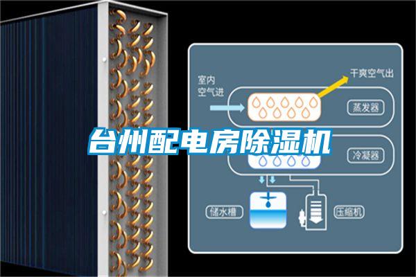 臺(tái)州配電房除濕機(jī)