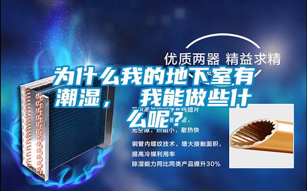 為什么我的地下室有潮濕， 我能做些什么呢？