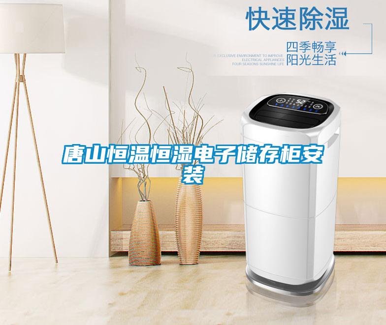 唐山恒溫恒濕電子儲(chǔ)存柜安裝