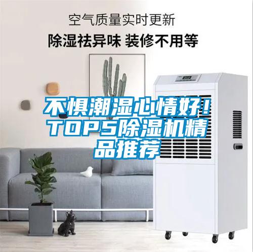 不懼潮濕心情好！TOP5除濕機(jī)精品推薦