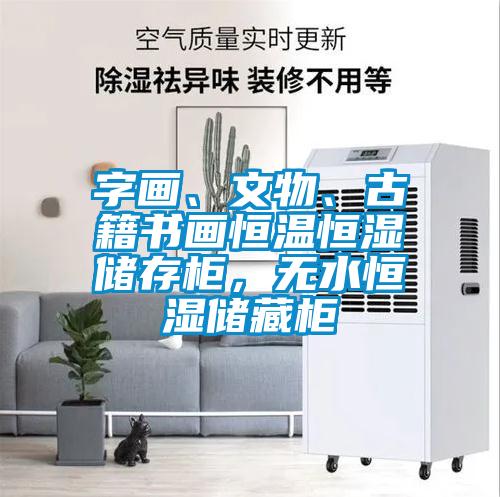 字畫、文物、古籍書畫恒溫恒濕儲(chǔ)存柜，無(wú)水恒濕儲(chǔ)藏柜