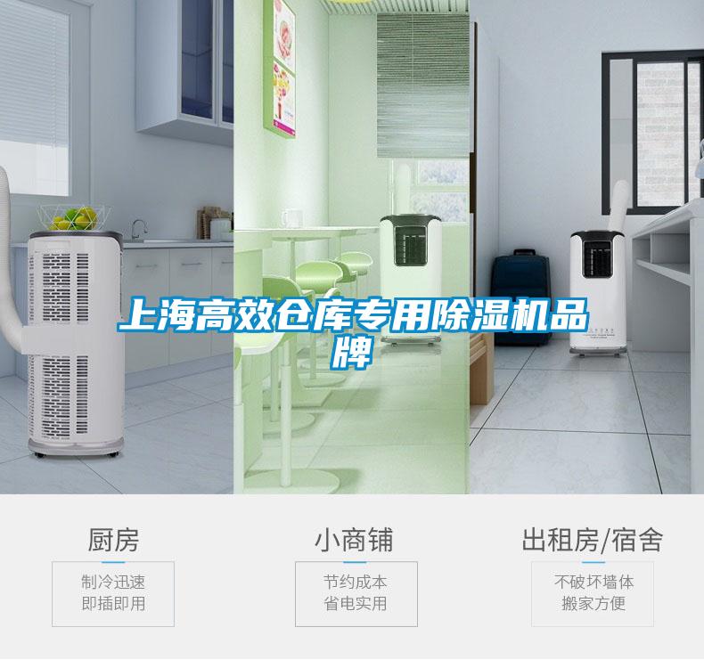 上海高效倉(cāng)庫(kù)專用除濕機(jī)品牌