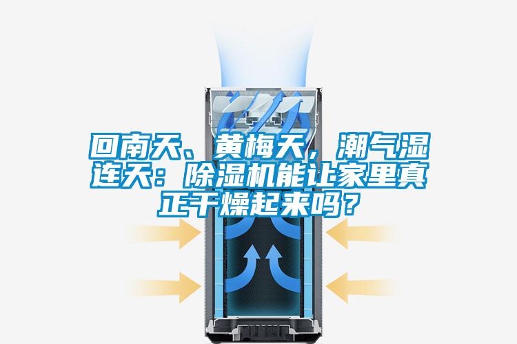 回南天、黃梅天，潮氣濕連天：除濕機(jī)能讓家里真正干燥起來(lái)嗎？