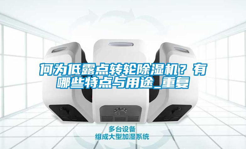 何為低露點轉(zhuǎn)輪除濕機？有哪些特點與用途_重復(fù)