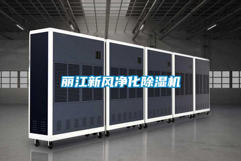 麗江新風凈化除濕機