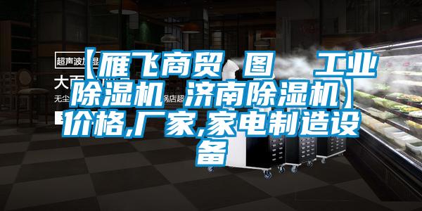 【雁飛商貿(mào) 圖  工業(yè)除濕機(jī) 濟(jì)南除濕機(jī)】價(jià)格,廠家,家電制造設(shè)備