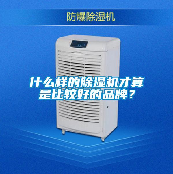 什么樣的除濕機才算是比較好的品牌？