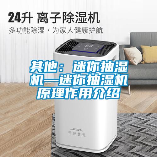 其他:迷你抽濕機(jī)—迷你抽濕機(jī)原理作用介紹