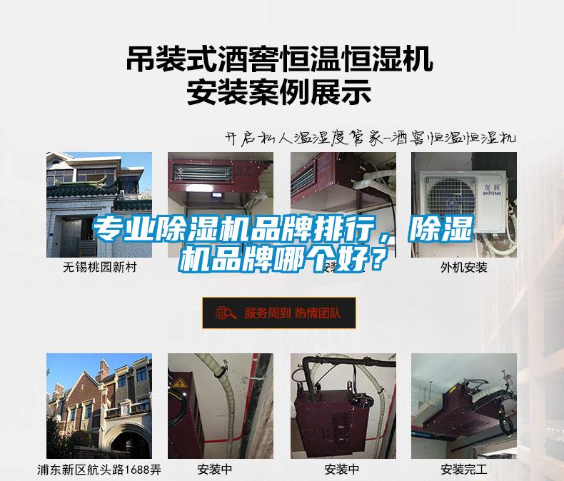 專業(yè)除濕機(jī)品牌排行，除濕機(jī)品牌哪個好？