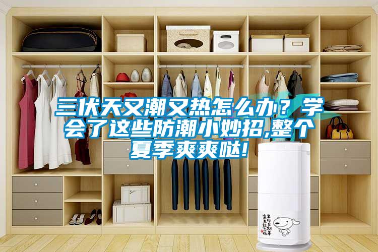 三伏天又潮又熱怎么辦？學(xué)會(huì)了這些防潮小妙招,整個(gè)夏季爽爽噠!