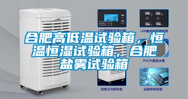 合肥高低溫試驗(yàn)箱，恒溫恒濕試驗(yàn)箱，合肥鹽霧試驗(yàn)箱