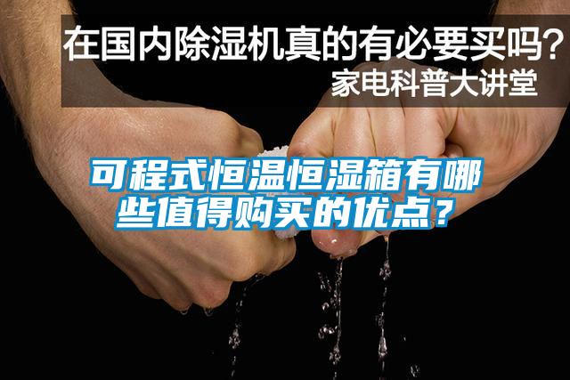 可程式恒溫恒濕箱有哪些值得購買的優(yōu)點？