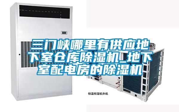 三門峽哪里有供應(yīng)地下室倉庫除濕機_地下室配電房的除濕機