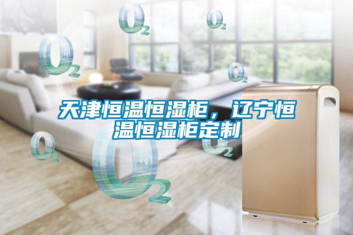天津恒溫恒濕柜，遼寧恒溫恒濕柜定制