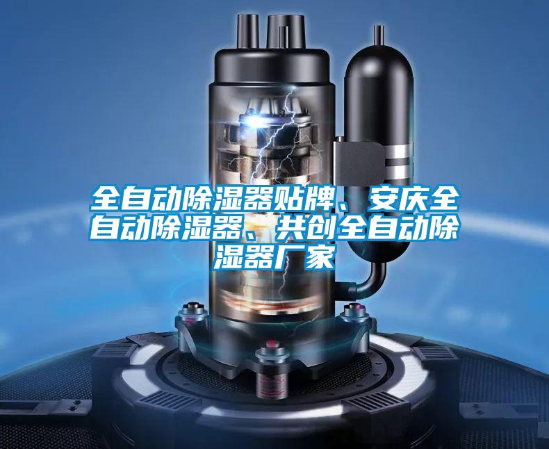 全自動(dòng)除濕器貼牌、安慶全自動(dòng)除濕器、共創(chuàng)全自動(dòng)除濕器廠家