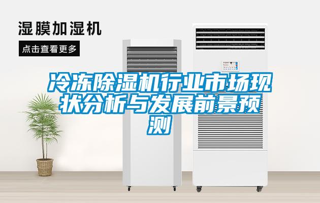 冷凍除濕機行業(yè)市場現狀分析與發(fā)展前景預測