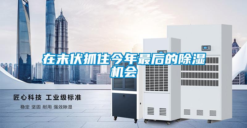 在末伏抓住今年最后的除濕機(jī)會(huì)