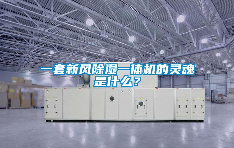 一套新風(fēng)除濕一體機(jī)的靈魂是什么？