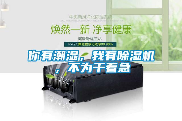 你有潮濕，我有除濕機，不為干著急