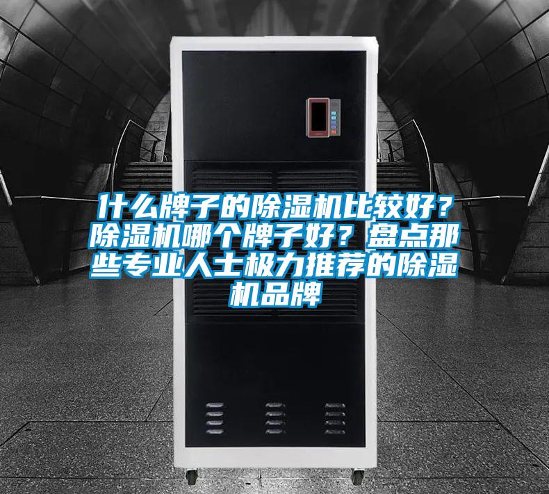 什么牌子的除濕機比較好？除濕機哪個牌子好？盤點那些專業(yè)人士極力推薦的除濕機品牌