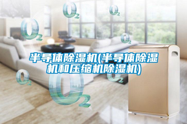 半導(dǎo)體除濕機(jī)(半導(dǎo)體除濕機(jī)和壓縮機(jī)除濕機(jī))