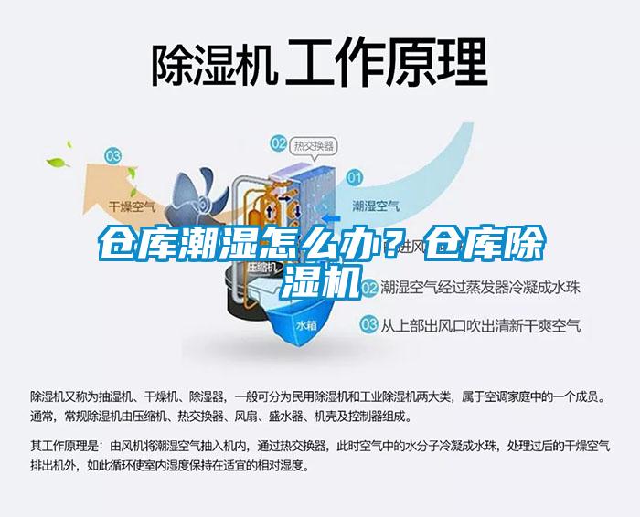 倉庫潮濕怎么辦？倉庫除濕機(jī)