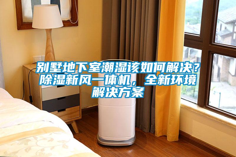 別墅地下室潮濕該如何解決？除濕新風(fēng)一體機(jī)，全新環(huán)境解決方案