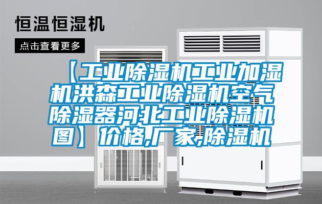 【工業(yè)除濕機(jī)工業(yè)加濕機(jī)洪森工業(yè)除濕機(jī)空氣除濕器河北工業(yè)除濕機(jī)圖】價(jià)格,廠家,除濕機(jī)