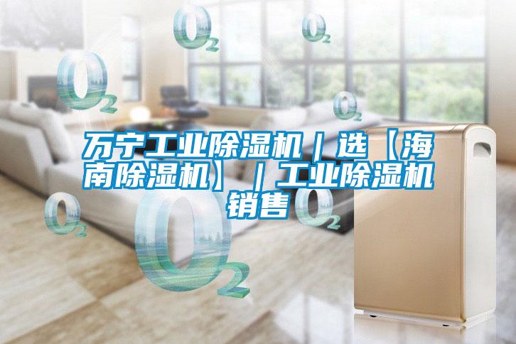 萬寧工業(yè)除濕機｜選【海南除濕機】｜工業(yè)除濕機銷售