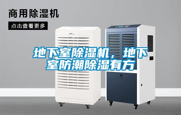 地下室除濕機，地下室防潮除濕有方