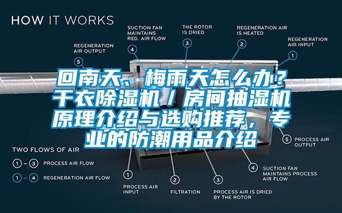 回南天、梅雨天怎么辦？干衣除濕機／房間抽濕機原理介紹與選購推薦，專業(yè)的防潮用品介紹