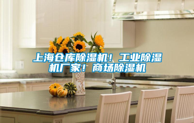 上海倉(cāng)庫(kù)除濕機(jī)！工業(yè)除濕機(jī)廠家！商場(chǎng)除濕機(jī)
